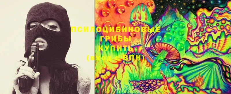 Галлюциногенные грибы Psilocybe  omg зеркало  Урус-Мартан 